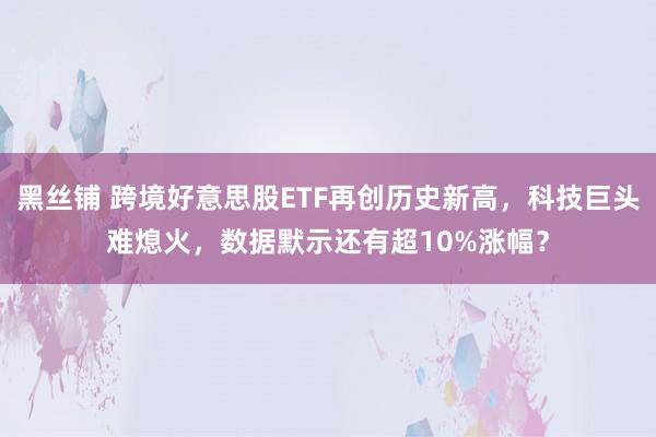 黑丝铺 跨境好意思股ETF再创历史新高，科技巨头难熄火，数据默示还有超10%涨幅？