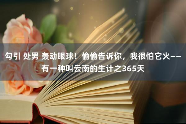 勾引 处男 轰动眼球！偷偷告诉你，我很怕它火——有一种叫云南的生计之365天